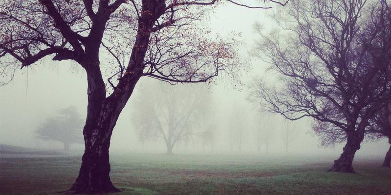 从源头到排放：宁波清悦如何以水处理科技驱动化工废气治理与水质改善