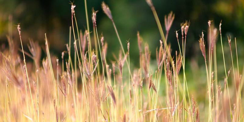 宁波清悦100：引领净水科技，打造绿色环保生活解决方案