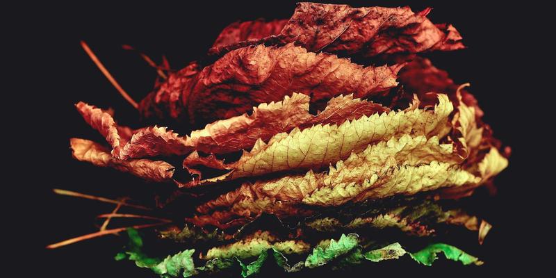 宁波清悦3:以创新净水设备引领水质改善,打造智慧环保解决方案