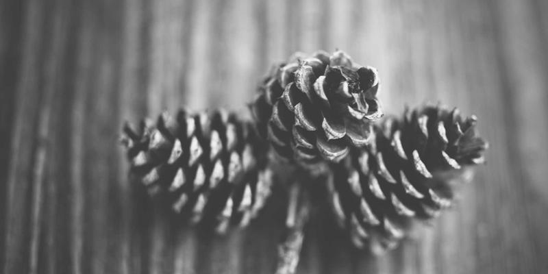 宁波清悦5:以环保科技重塑净水体验,引领健康饮水新纪元