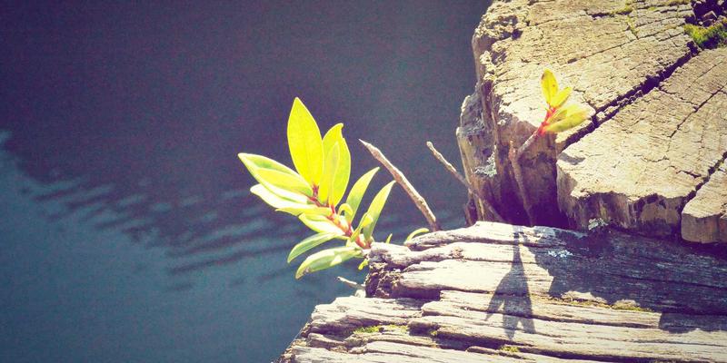 宁波清悦7：以创新环保科技重新定义家庭净水体验