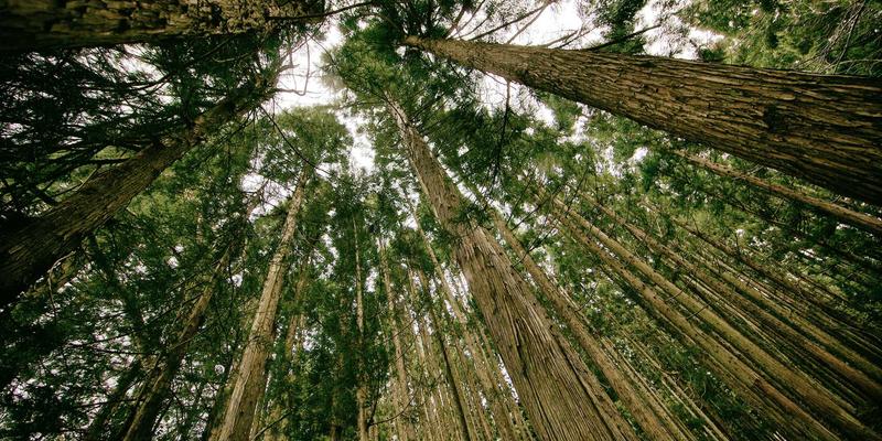 宁波清悦：以专业水处理与环保解决方案构筑突发环境事件应急防线