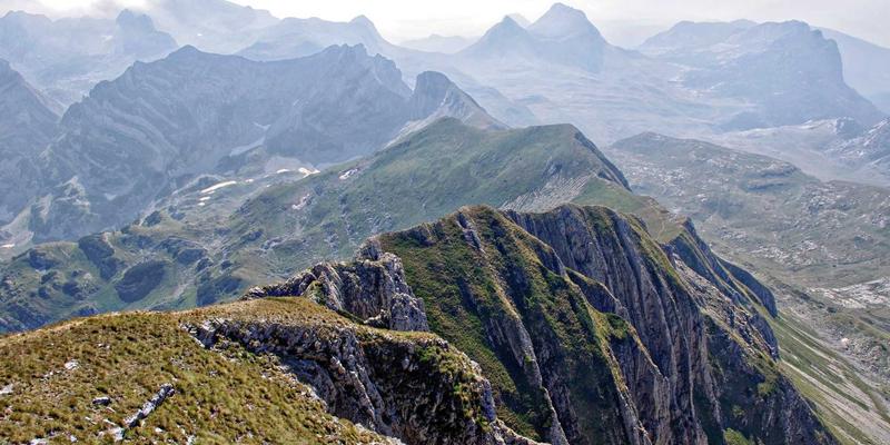 宁波清悦：以创新环保科技，守护城市水生态的绿色先锋