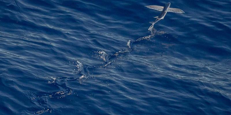 宁波清悦净水器：印染行业高色度废水脱色与COD降解的环保解决方案