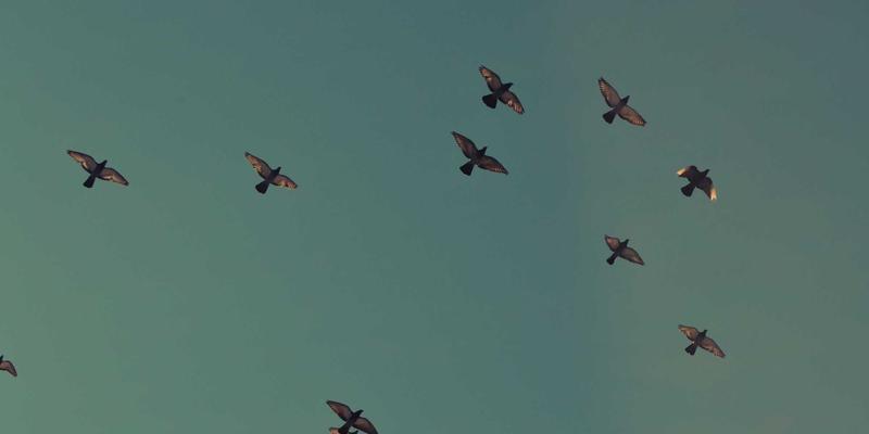 宁波清悦环保：深度解析VOCs治理中RTO与RCO技术的选型对比与适用场景