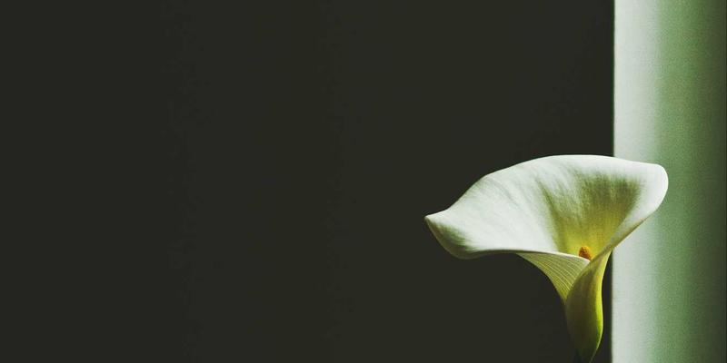 宁波清悦环保科技：为食品饮料行业定制净水设备与环保解决方案，实现废水处理及中水回用