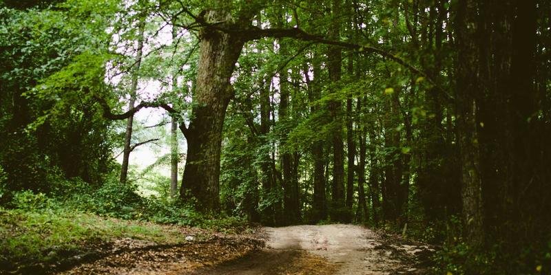 宁波清悦环保科技：攻克垃圾渗滤液处理技术难点，以创新工艺引领水质改善