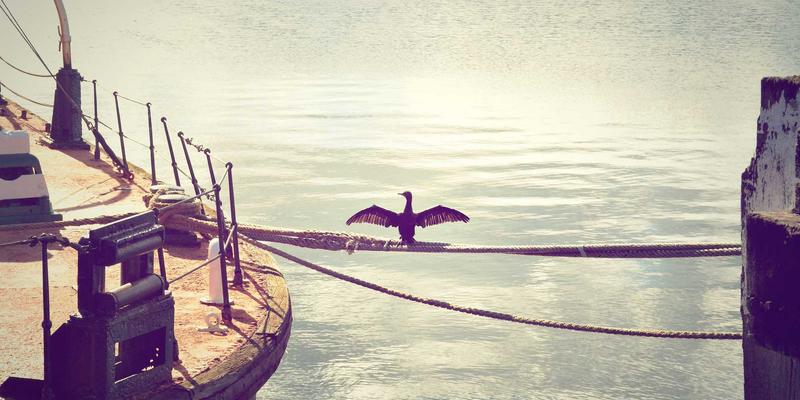 宁波清悦环保科技：电镀园区重金属污染土壤修复技术解析与成功案例