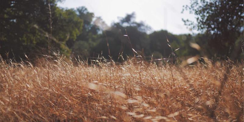 宁波清悦电镀废水零排放技术路线与成本效益深度分析：环保科技引领的可持续解决方案