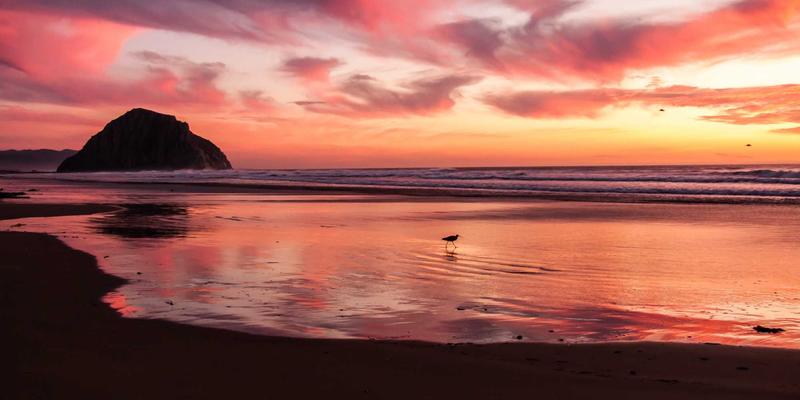 宁波清悦进阶：以环保科技重塑家庭水处理新标准